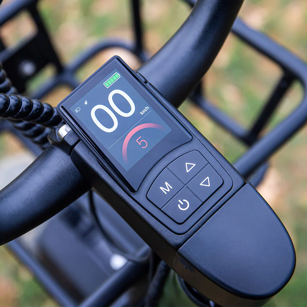 Fiido T1 Pro Leistungsstarkes Lasten-E-Bike mit Fatbike - Image 7